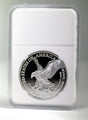 2023 Amerikansk Silver Eagle-mynt (1 troy uns)